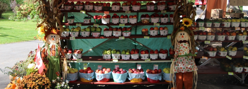 A stall selling fresh fruit