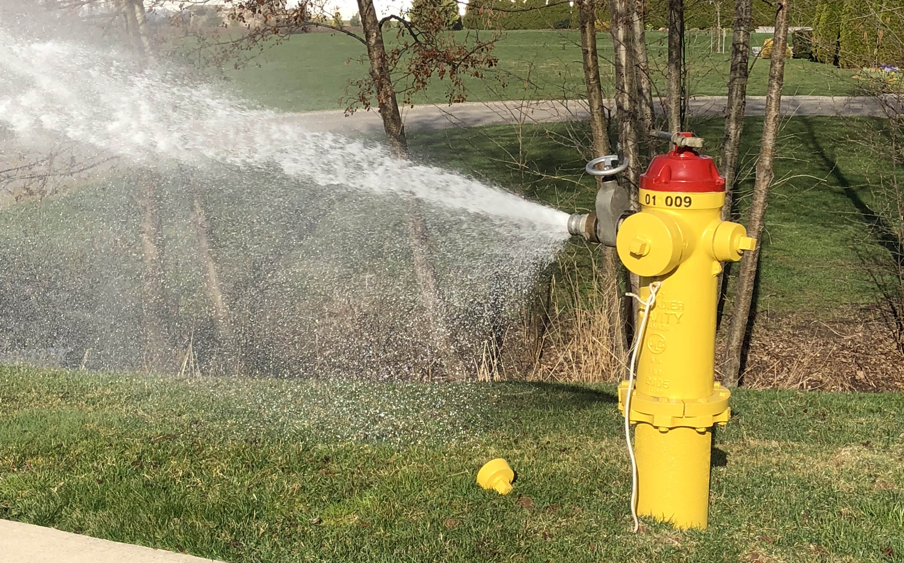 water hydrant releasing water