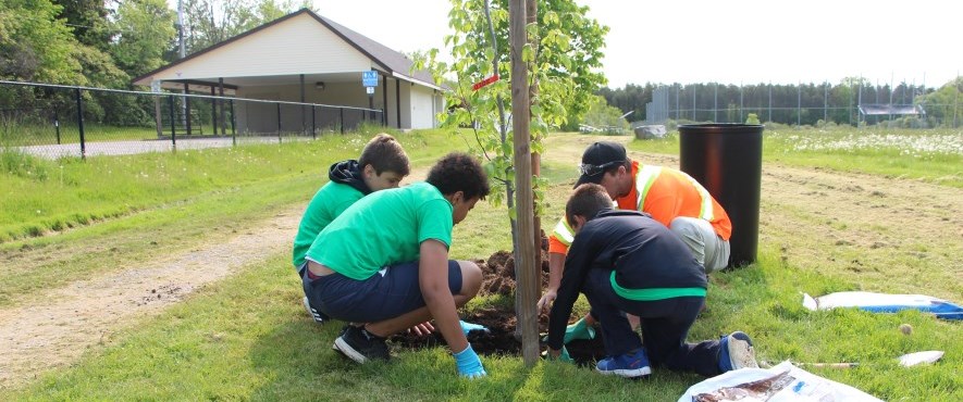 kids and one adult planting a tree