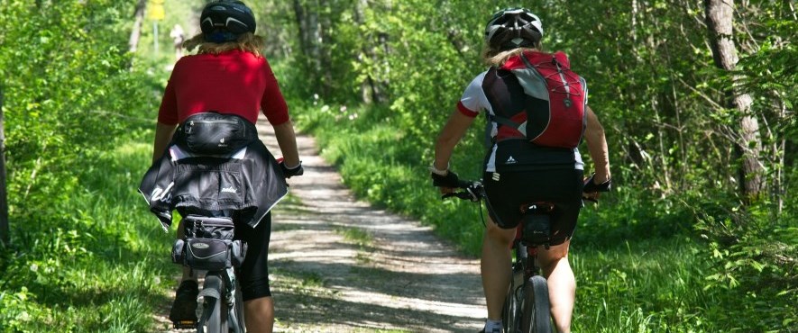 two cylclists riding a bush path