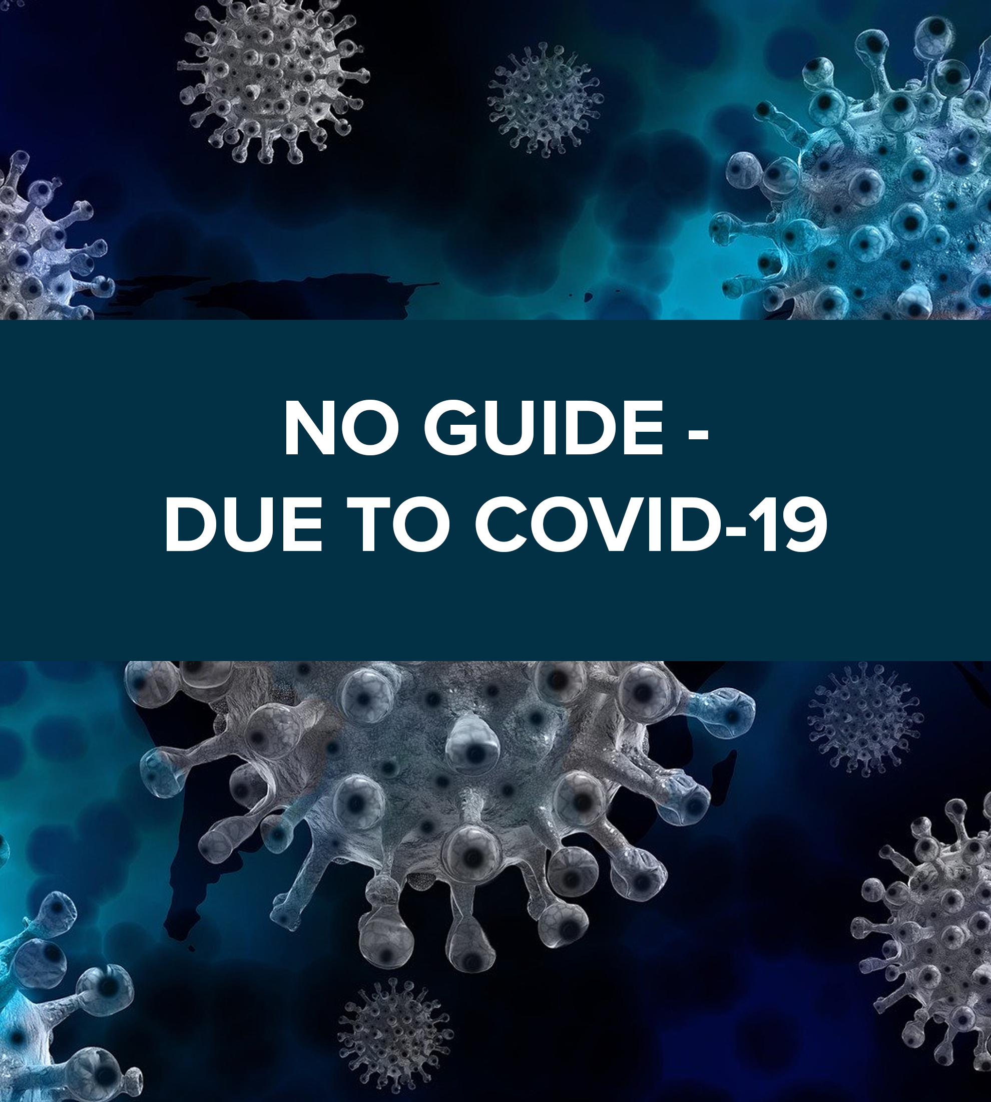 no guide due to covid 19