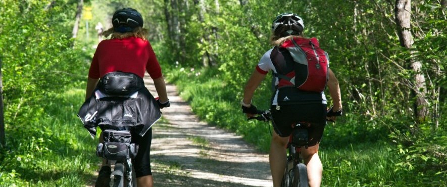 bikers in woods cycling on path